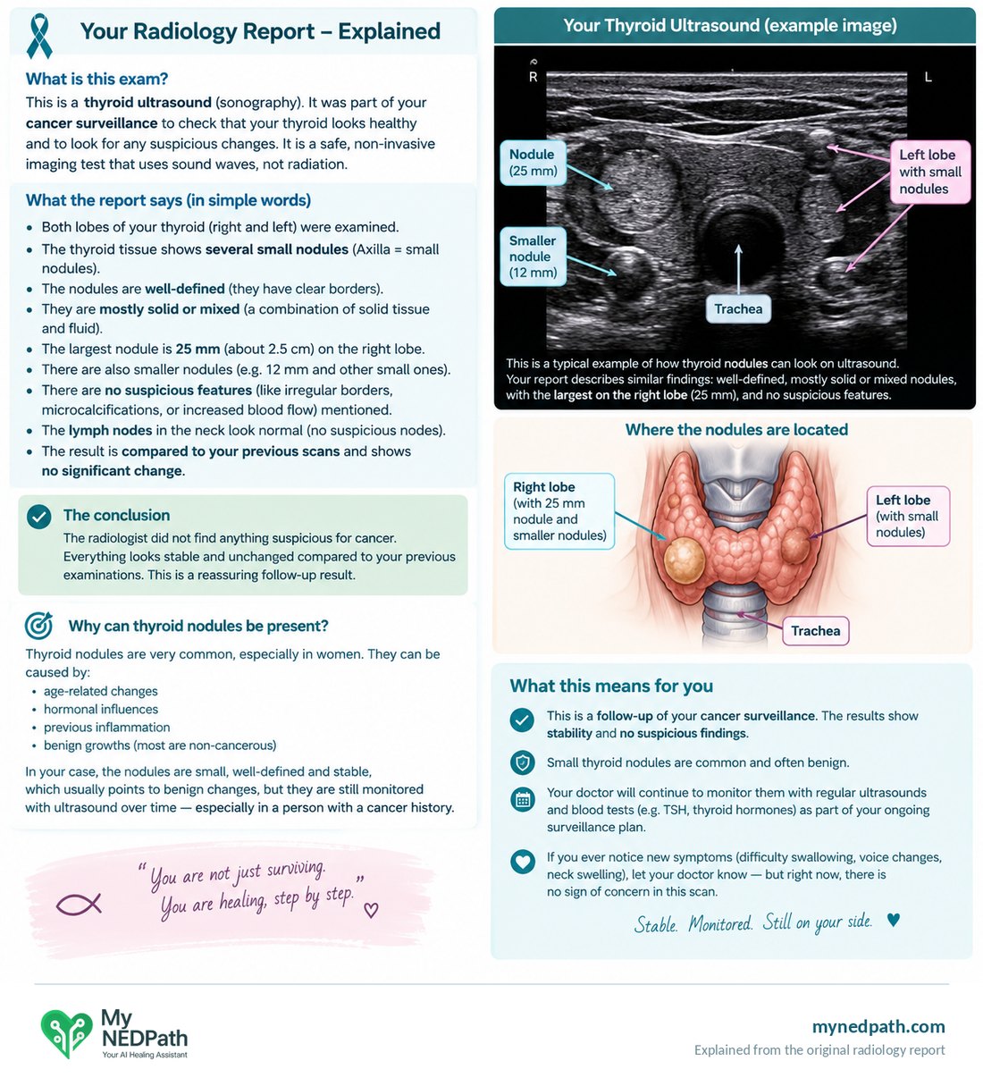 The first explanation of the report, which found the nodules but left out the recommendation.