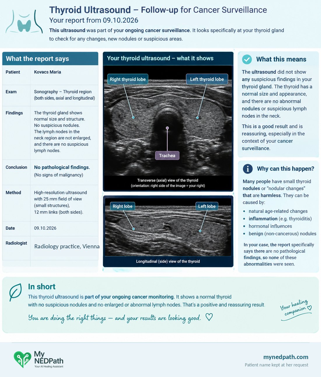 The second explanation of the report, which stated the thyroid was normal.